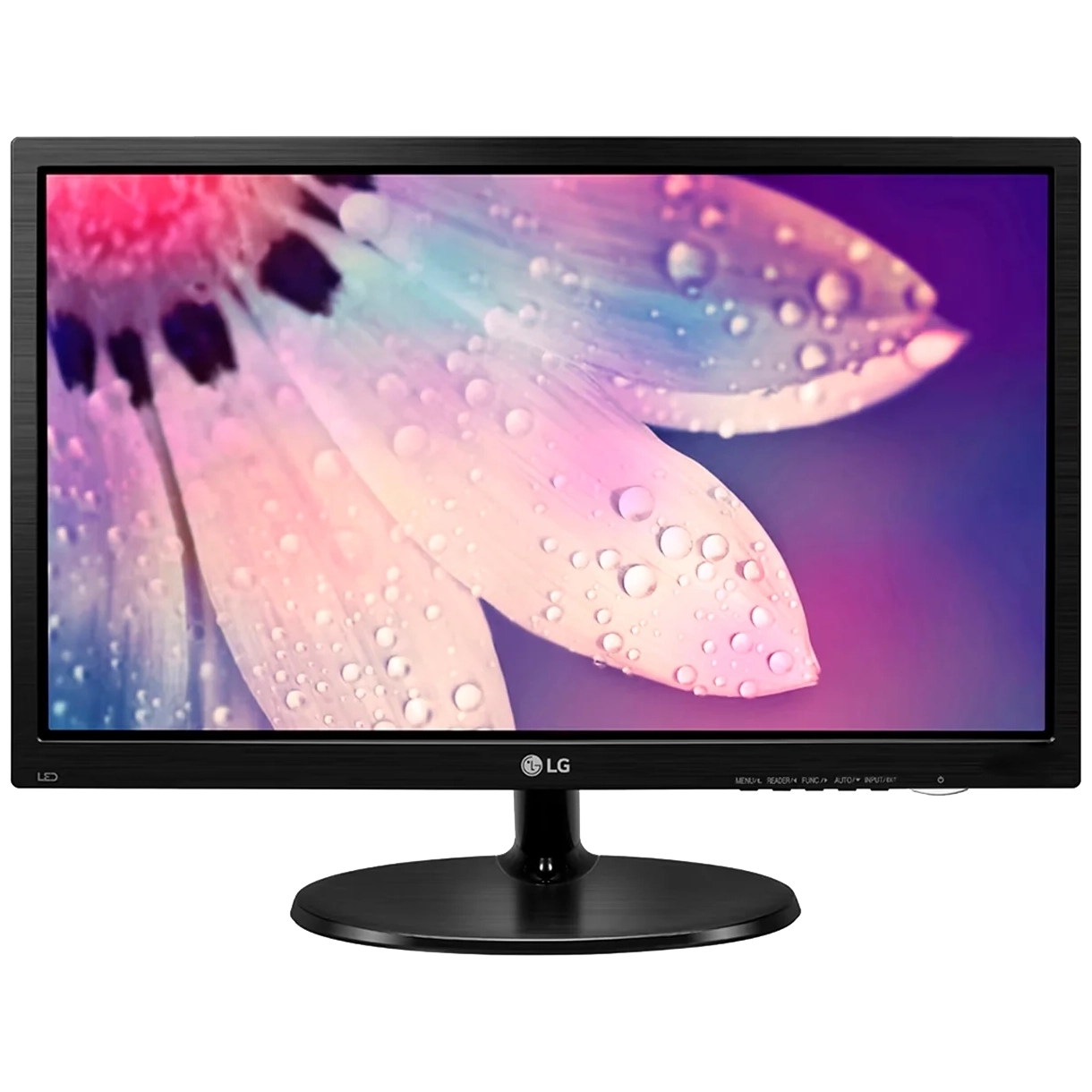 Monitor LG 19